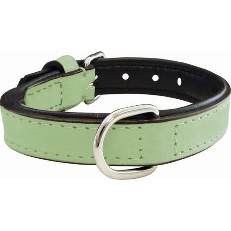 Collier pour Chien Gloria Rembourré Vert (30 x 1,5 cm) (1/5)