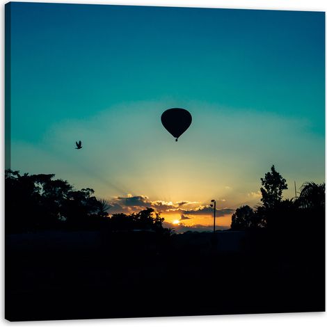 Leinwanddruck „Nature Twilight Balloon“ 40x40 cm
