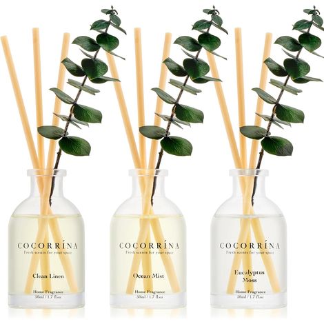 Fragrance Diffuser Set of 3 x 50 ml with 15 Sticks and Eucalyptus Decoration, 3 Scents, Eucalyptus (1/5)