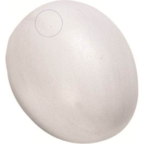 Un faux œuf de poule en plastique pour volaille - animallparadise