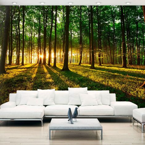 Papier peint matin mystique - 150 x 105 cm (1/4)