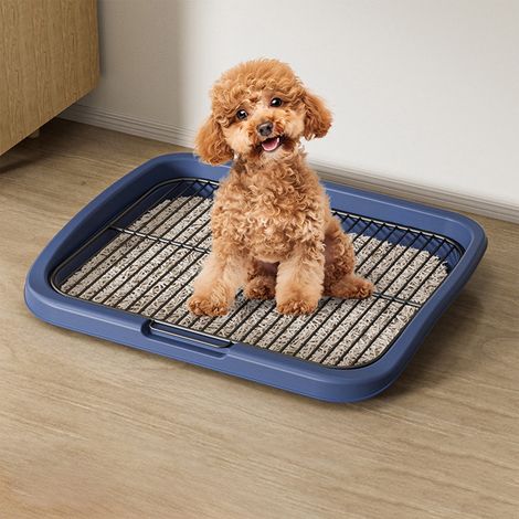 Bac À Urine Pour Chien - 47.5 X 37.5 X 6.5 Cm - Structure Détachable - Pour Chiots Et Chiens De Taille Moyenne - 1 Pièce (1/5)