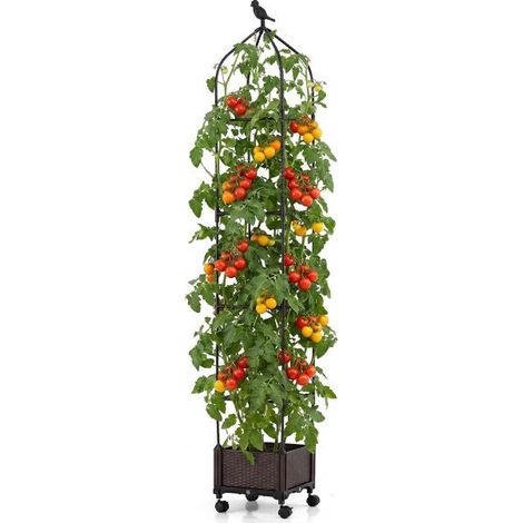 Raised Garden Bed With Obelisk Trellis, Self-Watering (1/5)