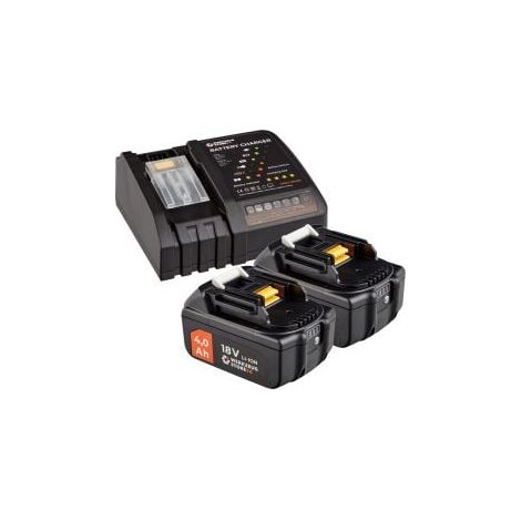 WS24 Kit de démarrage sans fil 18 V / 2x 4,0 Ah batterie + chargeur rapide (1/5)