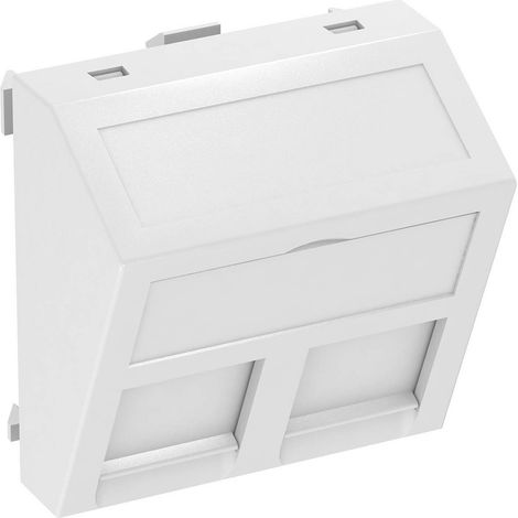 OBO Bettermann Soporte de tecnología de datos para 2 módulos de conexión Tipo A 45x45mm Policarbonato blanco puro RAL 9010, 6119238