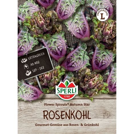 Sperli  Rosenkohl Flower Sprouts® Autumn Star - Gemüsesamen (1/2)