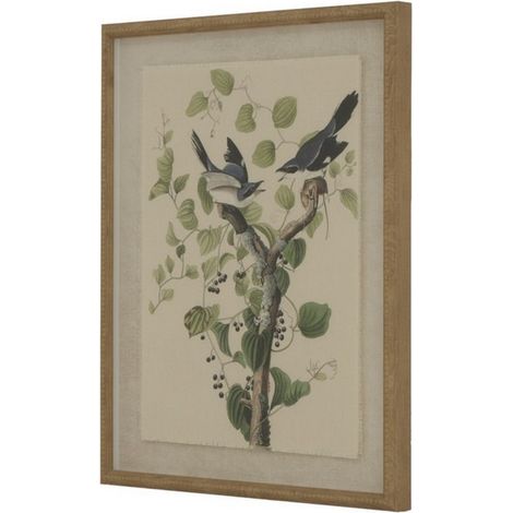 Flora & Fauna Collection Shrikes on Linen in Beaded Frame - Glass - L2 x W40 x H50 cm - Brown