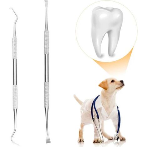 Kit professionnel de soins dentaires pour chien, séparateur et grattoir dentaire vétérinaire (1/5)