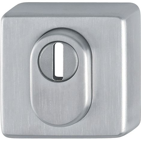 HOPPE 11537358 Rosone angolare con Foro PZ  Cilindro profilato  Porta di casa  con Protezione antitrazione  52 x 52 x 8 mm  Acciaio Inox, Argento Opaco