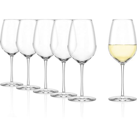 Lot de 6 verres à vin blanc Fino/Verre à vin blanc/Verre à vin blanc léger élégant/Verre à vin (1/5)