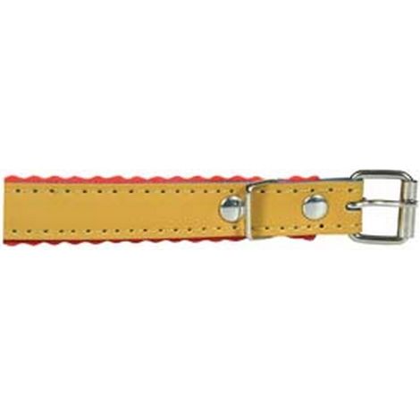 5PZ COLLARE PER CANI CUOIO FODERATO - cm.37x1,6
