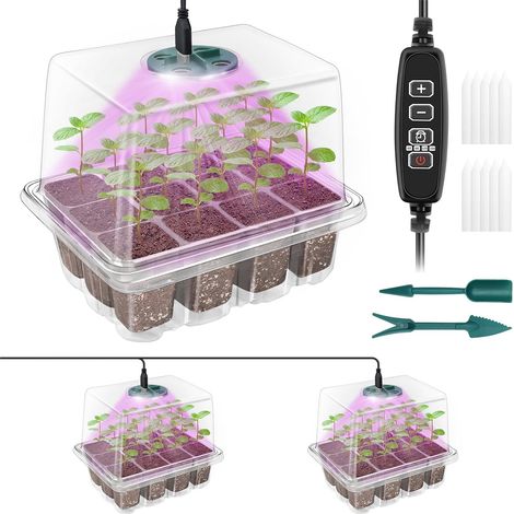 Mini Greenhouse with Built-In Lighting - Set of 2 with Raised Lids (Clear) (1/5)
