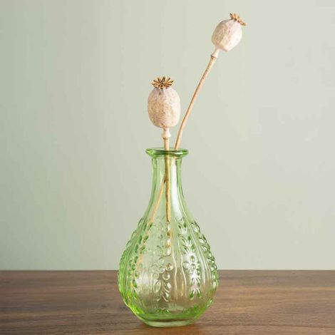 Vase Liseron vert verre15x9x9cm (1/4)