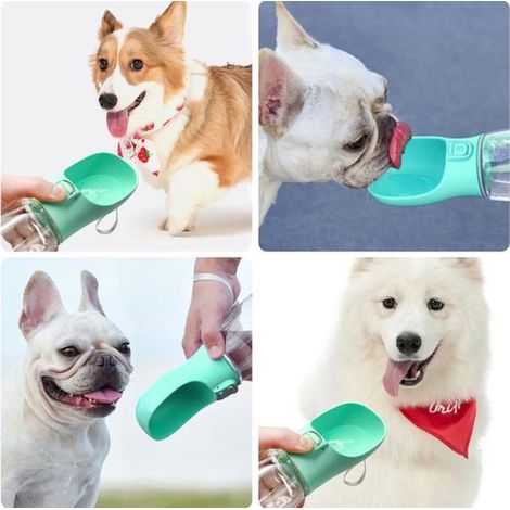 Borraccia XL per cani, 500 ml, borraccia sportiva/borraccia per cani/gatti/animali domestici, blu (1/2)