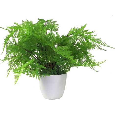 30cm Artificial Potted Lady Fern (Athyrium Filix-Femina) (1/5)