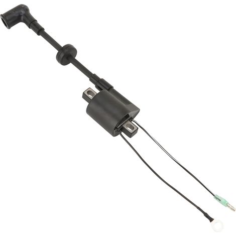 Zündspule geeignet für 4-200 PS Außenbordmotoren 1984-2000 6E0-85570-11-00 (1/4)