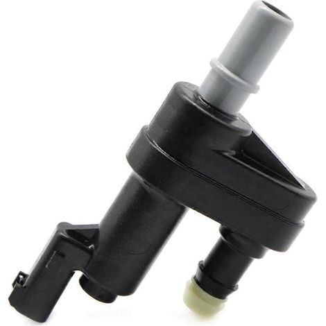 Entlüftungsventil für Aktivkohlefilter für Ford Escape MKZ