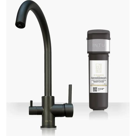 INTU Flair Gunmetal 3-1 Cold Swan Filtered Water Tap & Pro Filter (1/2)