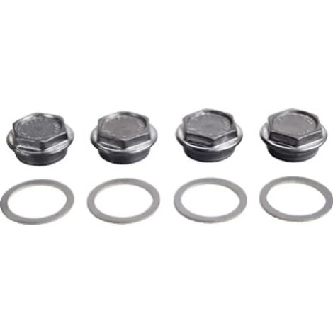 Bosch Tappo di chiusura G 1 1/2 pollice (4 pezzi), 8718544963