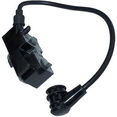 Module de bobine d'allumage 537 16 21-01 accessoires équipement électronique jardin (1/4)