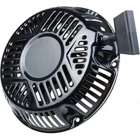 LYERCW - Ensemble de lanceur à rappel pour Briggs & Stratton 797747 CR2100 25T2 XR2100 25T3 13,5 CV 420 cm3 (1/4)