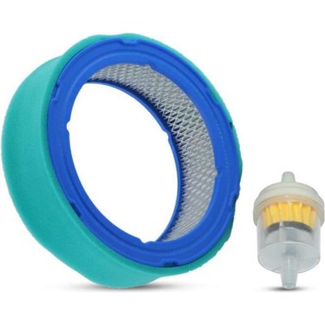 Filtre à air - pour moteur thermique 4 temps - compatible Briggs & Stratton modèles sélectionnés - 1 pièce (1/4)