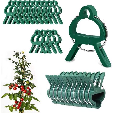 100 Pinces à Plantes, Pince Attache Tomate,Pinces À Plantes Grimpantes pour, Attaches Tomates Clips Réutilisable pour Fixer et Soutenir Plantes, Légumes, Fleurs et Fruits,50 Grandes + 50 Petites (1/5)