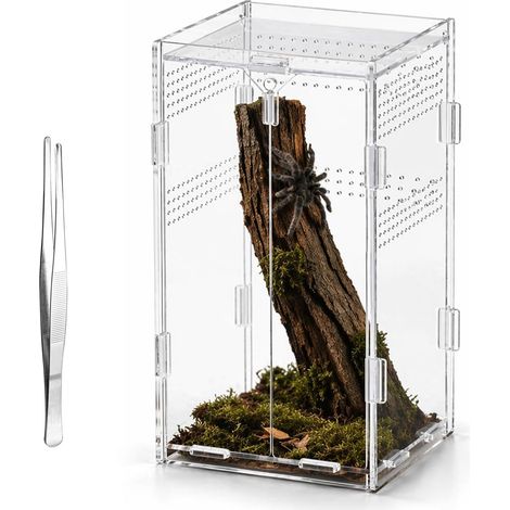 Acrylique Terrarium avec Une Pince Terrarium Escargot 12×12×20 cm pour Reptiles et Amphibiens araignées lézards coléoptères Grenouilles Insectes etc Vivarium (1/5)