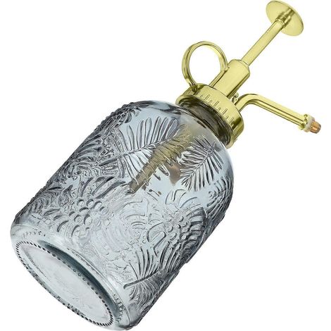 Vaporisateur en verre pour plantes, flacon vaporisateur vintage pour plantes, petit arrosoir (1/5)