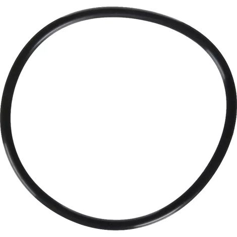 Guarnizione coperchio prefiltro pompa Zodiac FloPro / E3iQ R0480201