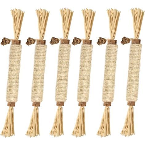 Jouets pour chats d'intérieur - Jouet à mâcher Silver Vine, lot de 6 jouets à l'herbe à chat pour l'hygiène dentaire (1/5)