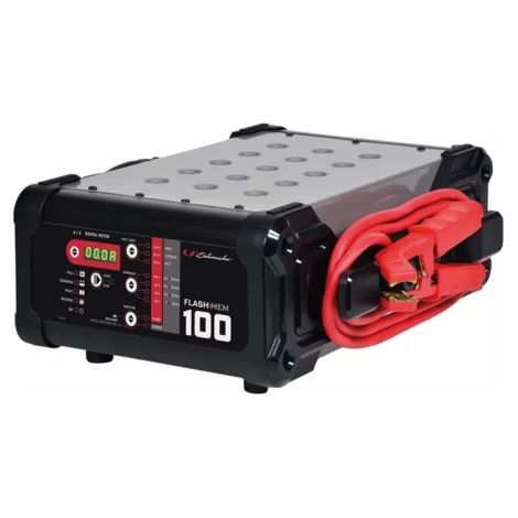 Chargeur de batterie automatique 12V 100A pour diagnostic (1/2)
