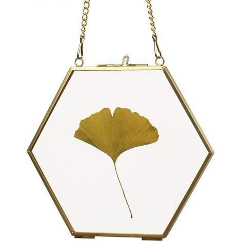 MINKUROW Marco De Vidrio Para Colgar En La Pared Para Flores Prensadas - Marco De Vidrio Para Fotos, Tarjetas, Carteles, Certificados, 12 Cm Hexagonal (1/5)