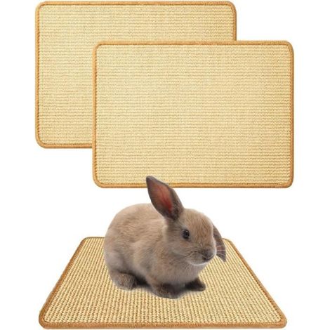 Tapis à gratter - Naturel - Lot de 2 - Fibre de sisal 100% - Beige - Rectangulaire (1/4)