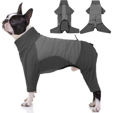 Grey dog coat, chest circumference 46-53 cm, one piece, size XS, windproof, waterproof, thick cotton padding, stand-up collar. (1/4)
