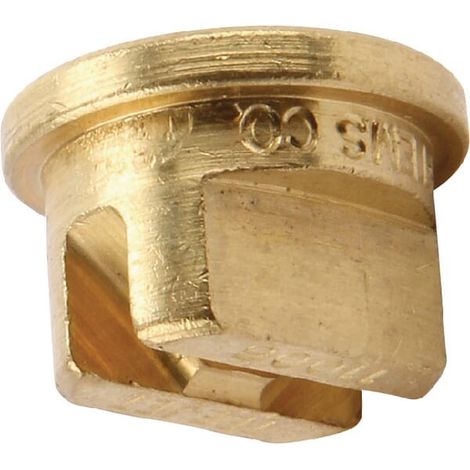 Buse TEEJET TP11006 (1/2)