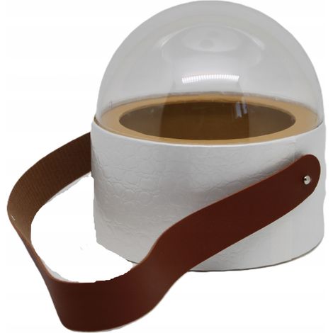 Scatola regalo decorativa con cupola e maniglia (1/5)