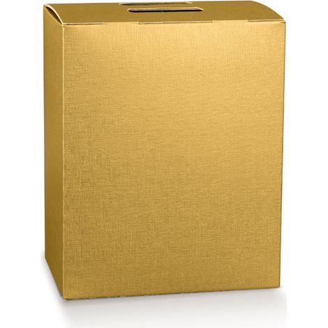 Scotton Cubotto Natale Portapanettone e Bottiglia 280 x 200 x 350 Mm Fibra Oro 1 Pz