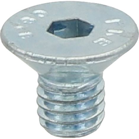Arandela de tornillo para chapa metálica de 4,8 x 19 mm DIN 7981 (1/2)