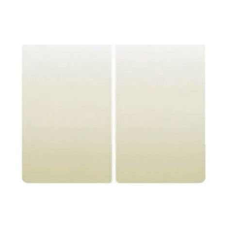 Interrupteur à clé double ou interrupteur BEIGE BJC IRIS 18709-A (1/2)