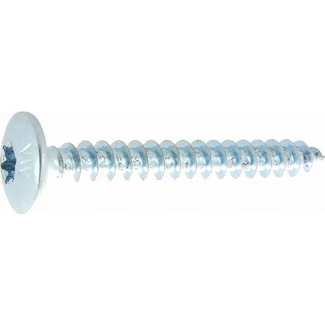 80 Vis Penture Torx acier zingués blanc 6.0 X 30 mm