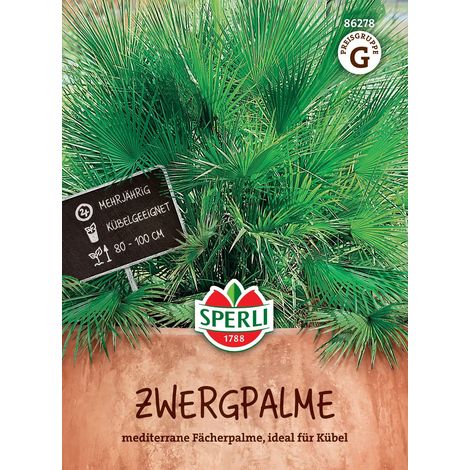 Sperli Palmen Zwergpalme Tropenzauber - Blumensamen (1/2)