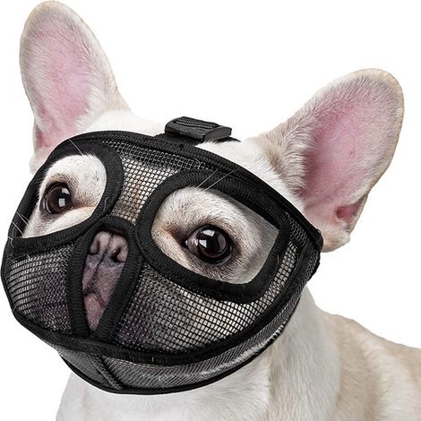 1 Muselière, maille respirante, caoutchouc PVC, ajustable, anti-morsures, chiens museau court (1/5)