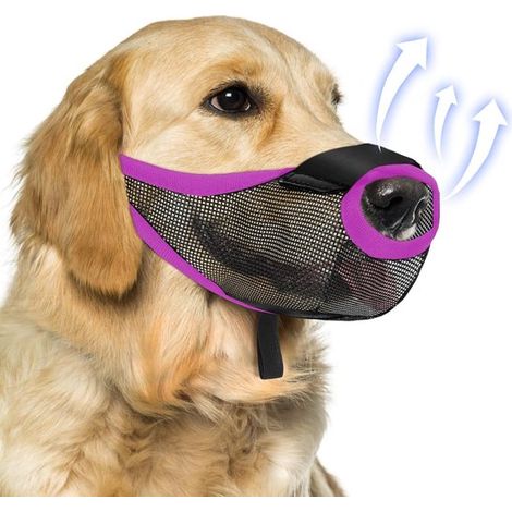 Museruola in morbida rete traspirante per cani di piccola e media taglia, protezione anti-morso, anti-abbaio, anti-masticazione e anti-scavo con cinturino regolabile, apertura frontale (1/5)