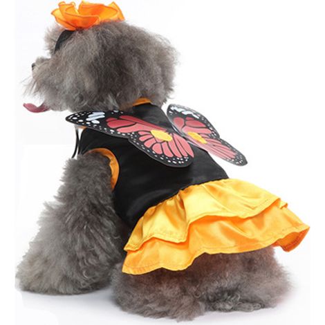 1 déguisement de papillon pour chien, costume Halloween, accessoire photo pour chiots et chats, taille S/M/L/XL (1/5)