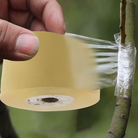 1 rouleau de ruban adhésif flexible et extensible transparent pour greffage, idéal pour le jardin (5 cm). (1/5)