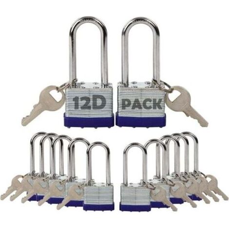 Set mit 12 identischen, abschließbaren Vorhängeschlössern, 40 mm Walzstahl, rostfrei, für Schließfächer, Zäune und Tore (1/5)