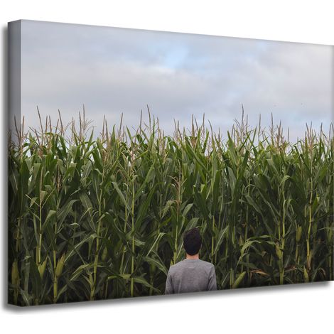 Leinwanddruck Naturmotiv Maisfeld 40x30 cm