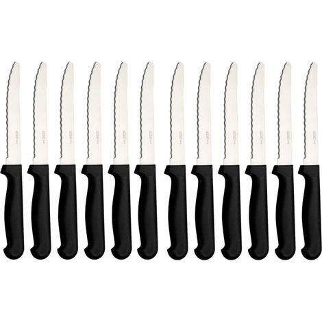 Abert Rost set 12 coltelli carne acciaio inox