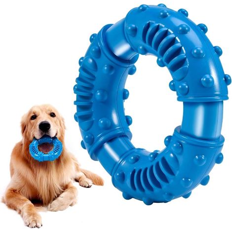 Jouets pour chiens, jouets à mâcher, adaptés aux chiens moyens et grands (1/5)